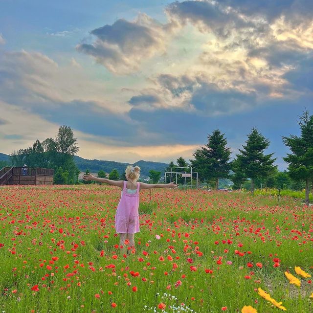 봄꽃놀이 요기 가면 다 있어요😘💓