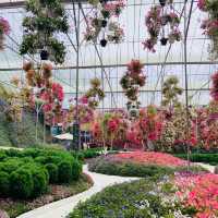 Floral Park: A Floral Fantasia in Cameron