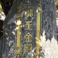 梅山輕旅行金光閃閃的《龍王金殿》