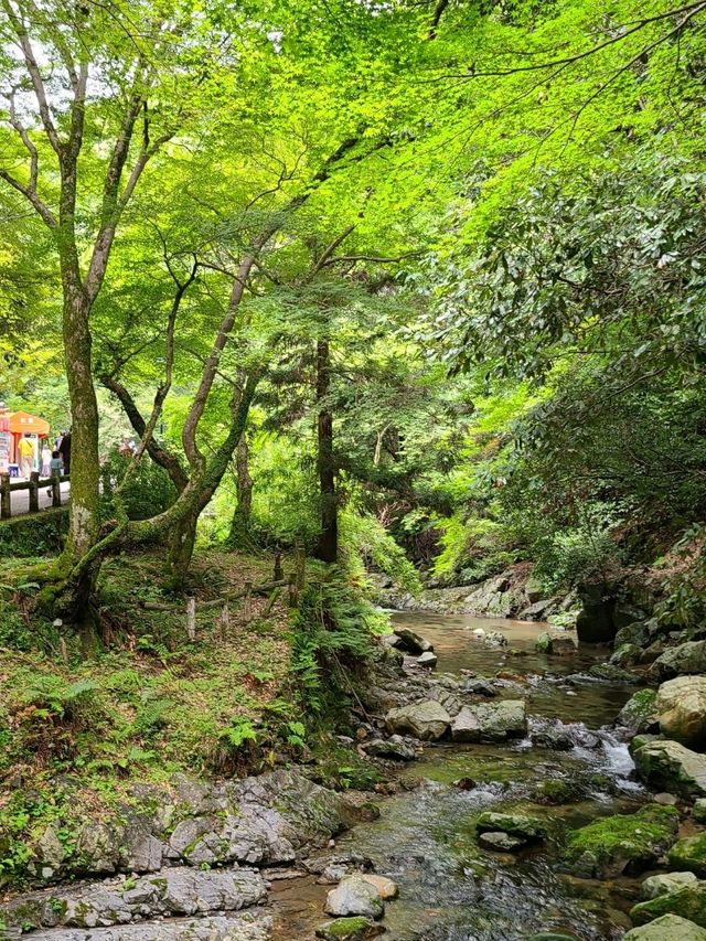 【大阪】滝道を散策をしよう