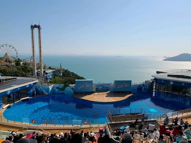 【重拾童年回憶~Ocean Park🎢】