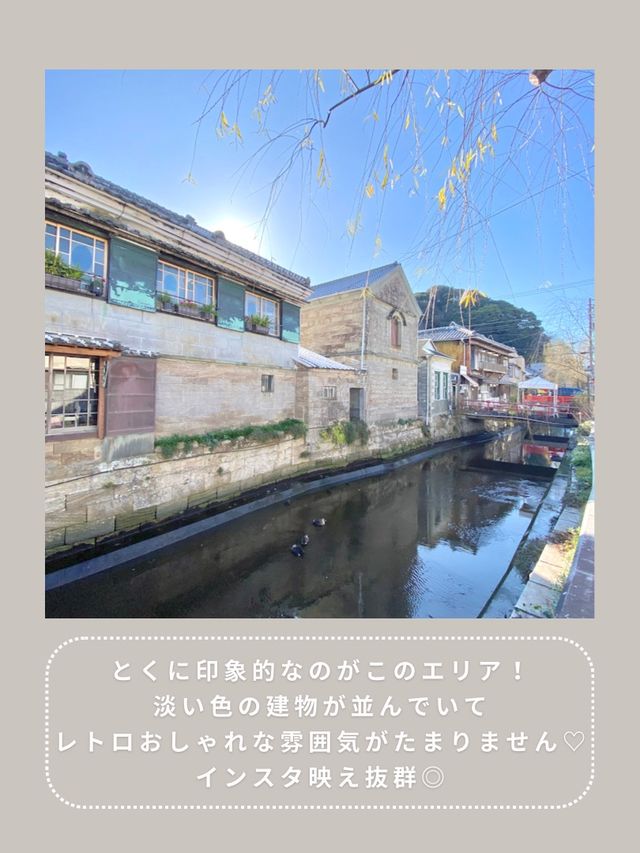 【下田】わんこと行けるインスタ映えスポット🫧