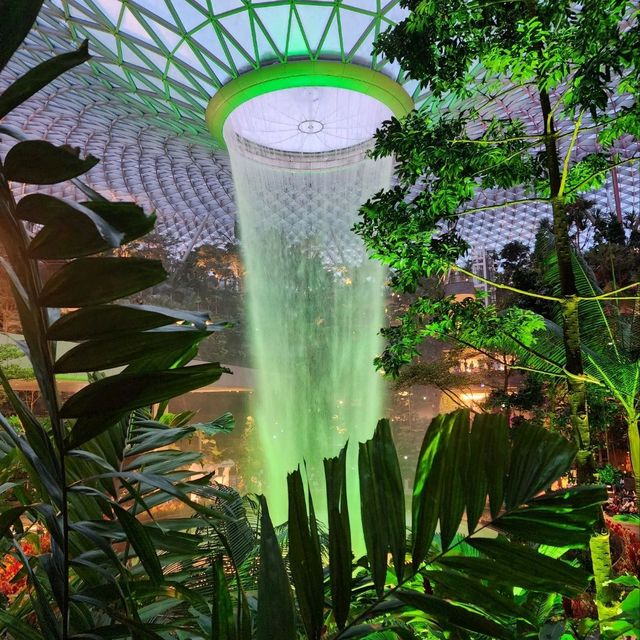 The marvelous changi airport 