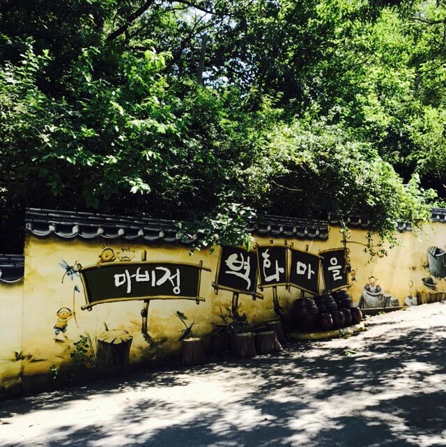 60~70년대의 농촌의 풍경을 배경으로 벽화를 조성한, 대구 마비정벽화마을