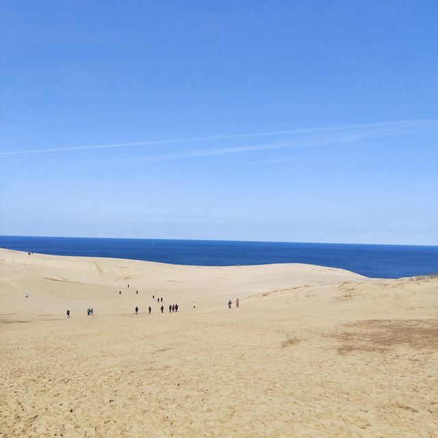 稱之為小沙漠🏜️鳥取沙丘