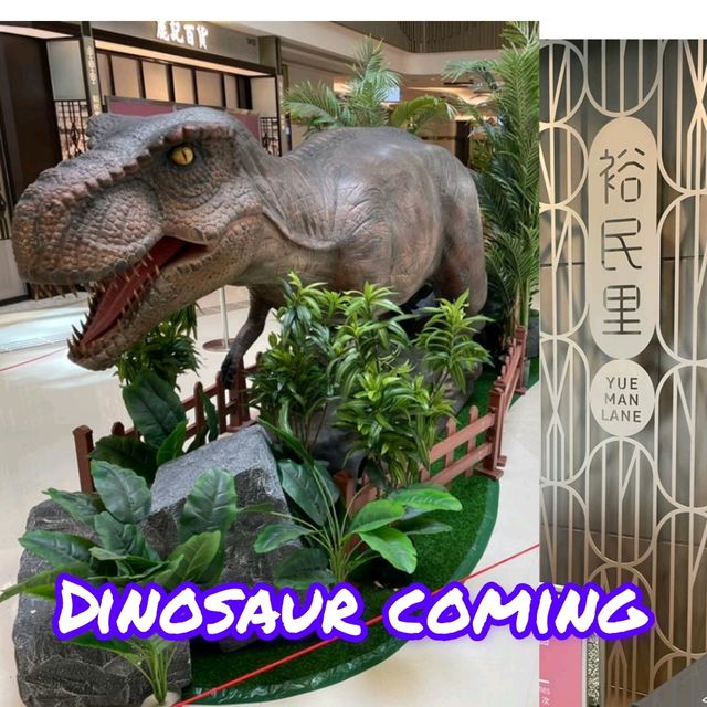 dinosaur coming！🐾