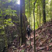 Toughest Climb - Mulu Pinnacles