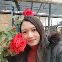 จุดชมวิวม่อนสน