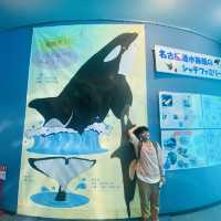 พิพิธภัณฑ์สัตว์น้ำท่าเรือนาโกย่า 名古屋港水族館