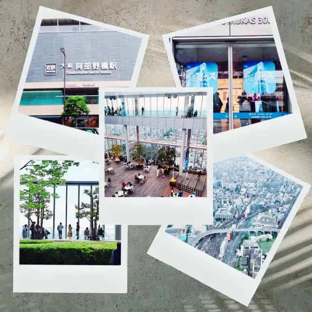 大阪阿倍野大廈300觀覽台🏔️俯瞰城市美景！🏙️🌆🔭