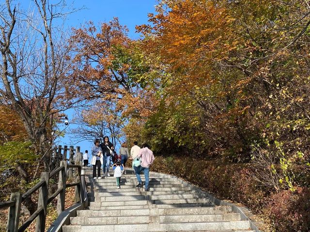 Hiking to Namsan Tower 🗺️🗼