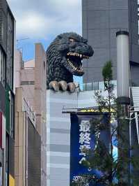 Kabukichou Street in Shinjuku.