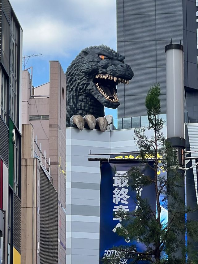 Kabukichou Street in Shinjuku.
