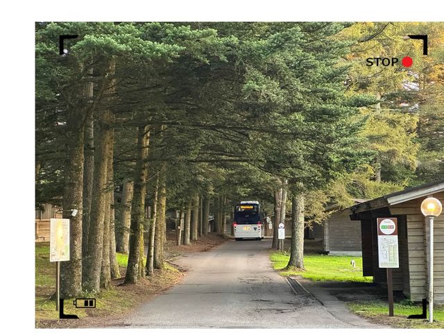 軽井沢プリンスホテル　ログハウス体験🏡