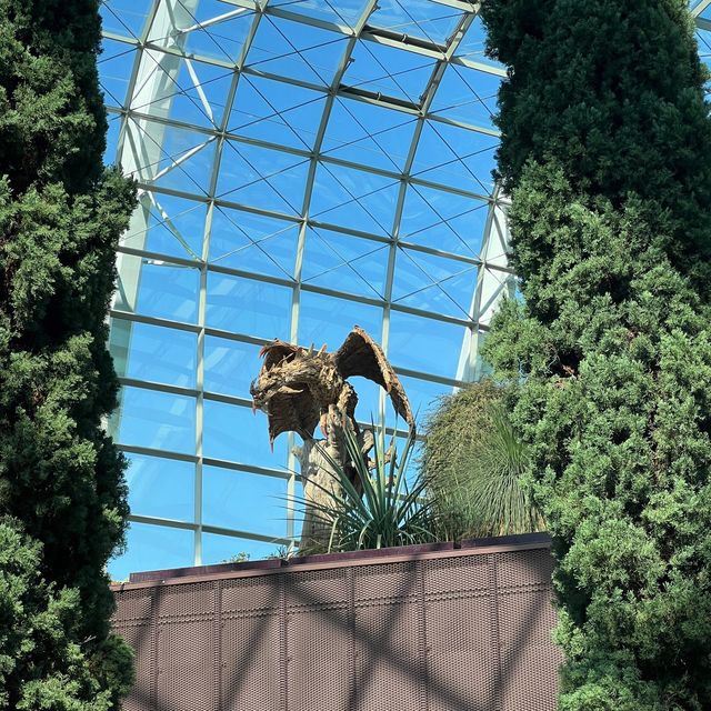 新加坡Flower dome：自然奇蹟的花園天堂