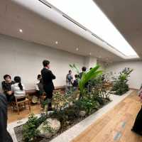 🇰🇷 Four Stones Coffee Roasters-Best Coffee!
