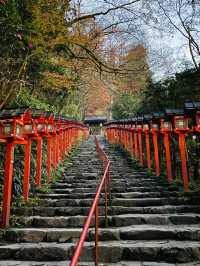 【京都府/貴船神社】清らかな水のある神社