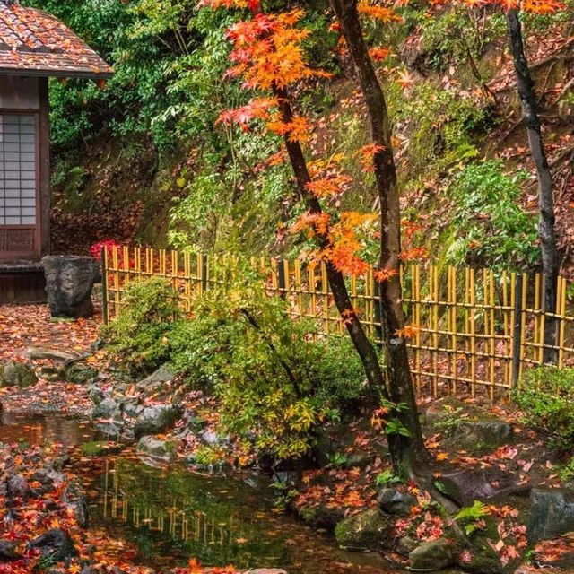 原千寺 🏯🌿和諧日式庭院的靜謐🍃🌸