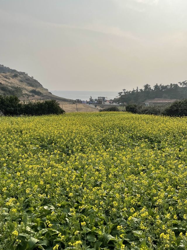 멋진 풍경을 만날 수 있는 여행지 용머리해안