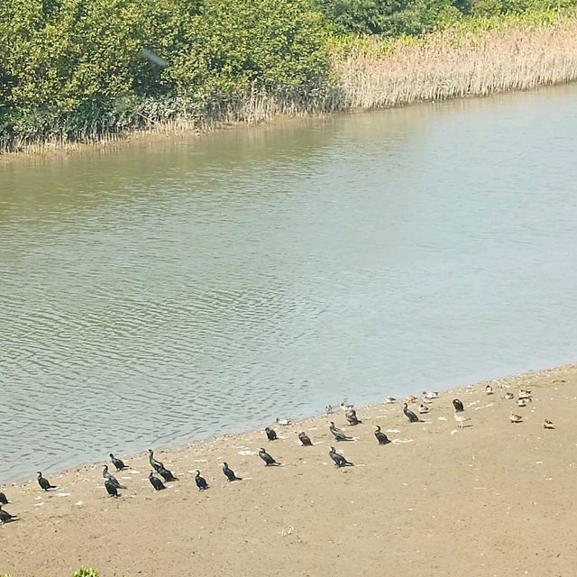 香港濕地公園