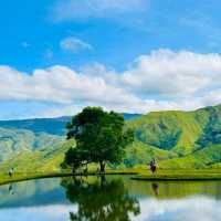 BREATHTAKING Scenery @Communal Ranch Bukidnon