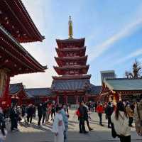 東京景點，淺草寺雷門&五重塔