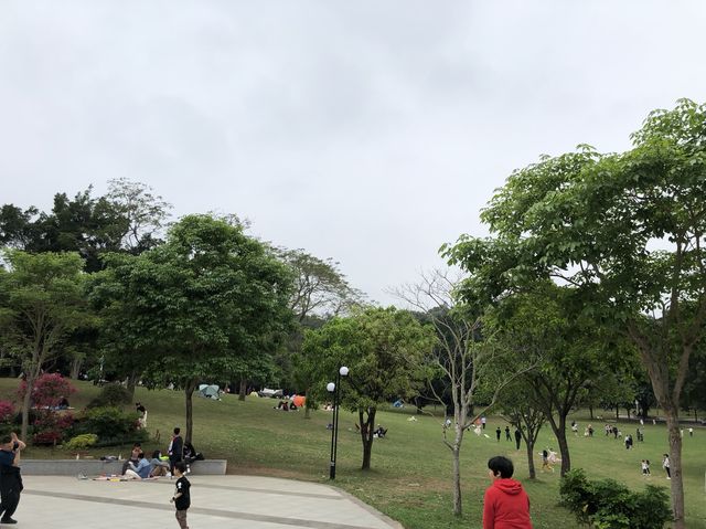 蓮花山公園🏃🏃🏃