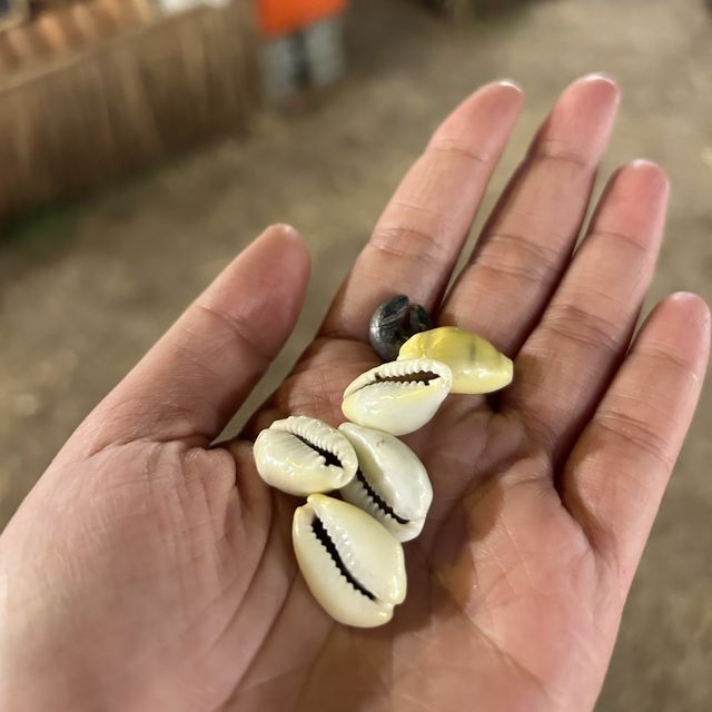 เผาเทียน เล่นไฟสุโขทัยย