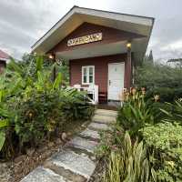 Tenom Coffee