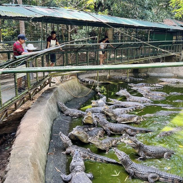 A Superb Experience in Zoobic Safari Subic