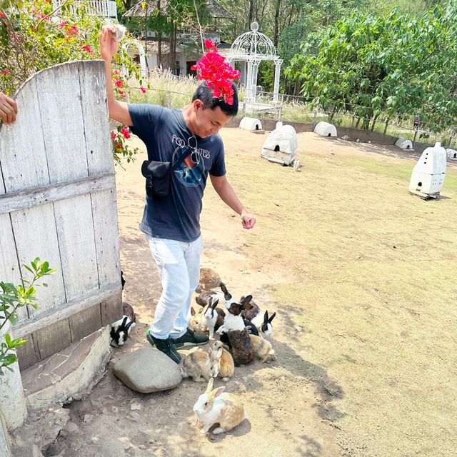 Scenic Rabbit/Chicken Farm @ Ratchaburi