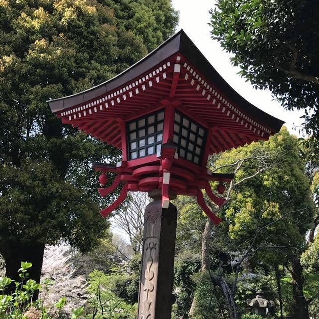 櫻花🌸盛放之時👍🏻必去上野恩賜公園👌🏻家庭一日遊😆日本🗾人最愛之地