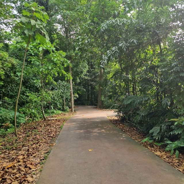 Sungei Buloh Wetlands Hike