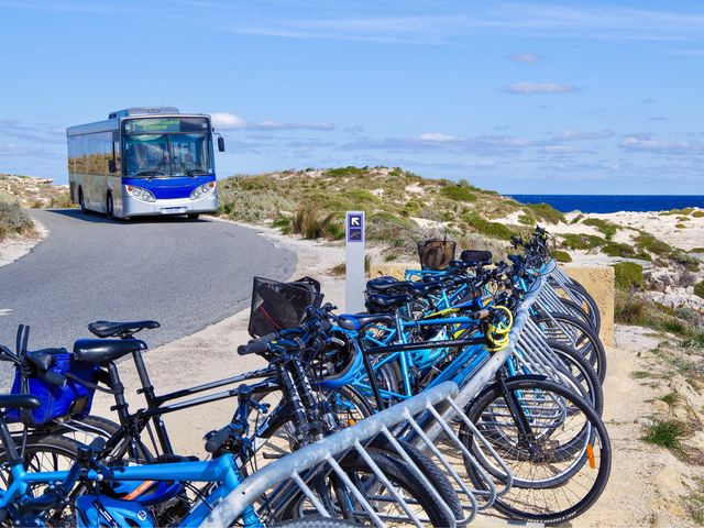 【オーストラリア・ロットネスト島】島の巡り方🚲