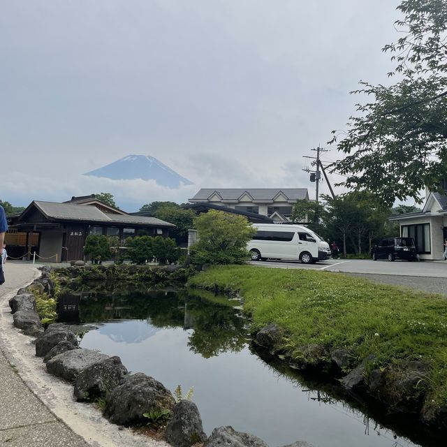 【忍野八海】富士山の湧水でできた8つの池
