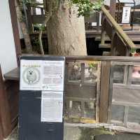 【ペットとお出かけ】山梨県のご当地グルメを堪能！