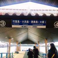 【沖縄 竹富島】一度は行っておきたい竹富島