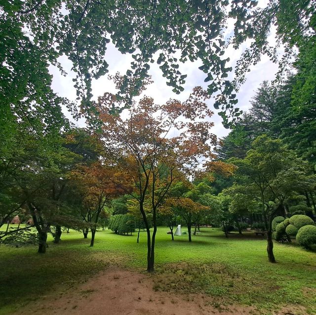 韓國南怡島📸周邊遊覽分享😍熱門景點: 冬季戀歌場地✨