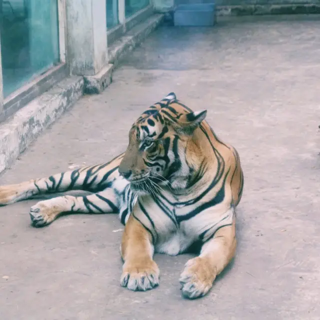 Wildlife of Saigon Zoo and Botanical Garden
