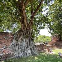 My summer trip to Ayutthaya, Thailand