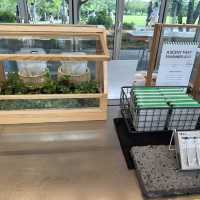 24h in Jeju - Innisfree Jeju House