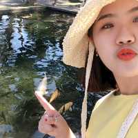 발리 우붓 정원이 싱그러운 띠르따 강가 🐠