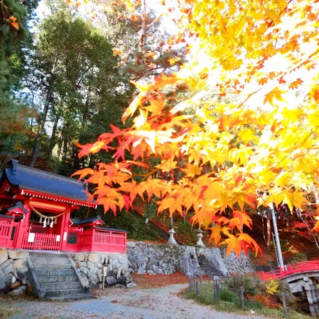 飛騨東照宮 紅葉スポットのご紹介