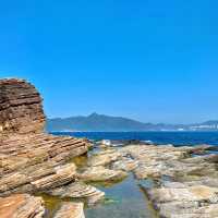 🌊🏞️ 富岡地質公園～海岸奇觀🌵⛰️🔭