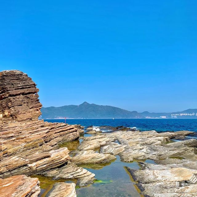 🌊🏞️ 富岡地質公園～海岸奇觀🌵⛰️🔭