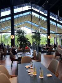 Cafe hunting for tea time 🫖 Locarasa ✨