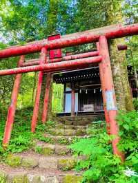 【絶景】神秘的なパワースポット！世界遺産の忍野八海🗻