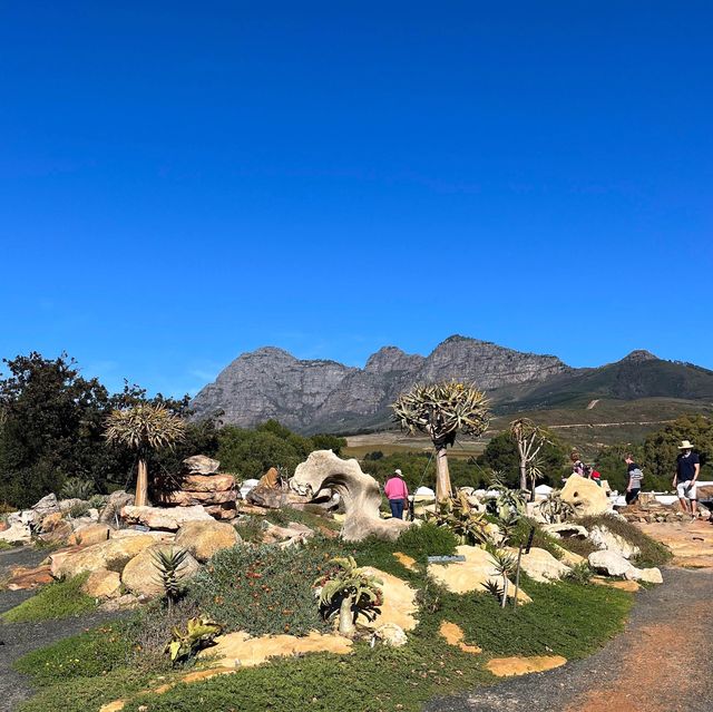 【南アフリカ】ステレンボッシュの植物園！🇿🇦