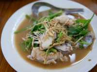 จุ้งบริการ : มาอยุธยา ต้องได้กินกุ้ง 🦐🦐