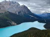 Stunning view on the road in Icefield Parkway